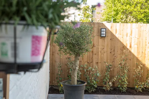 NZ6B0025 -  - Foto's